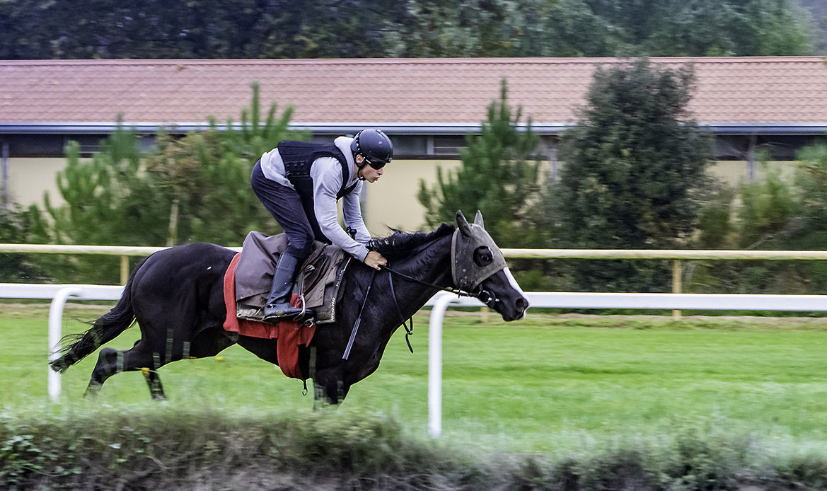 centre-entrainement-hippodrome-royan-atlantique